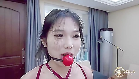 Hot dane linet canceler and sexy